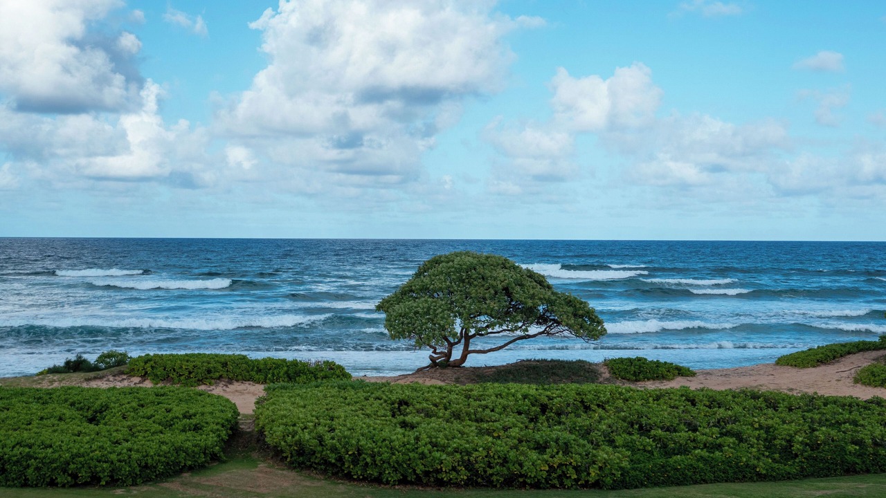 Photo of Others in Hanamaulu