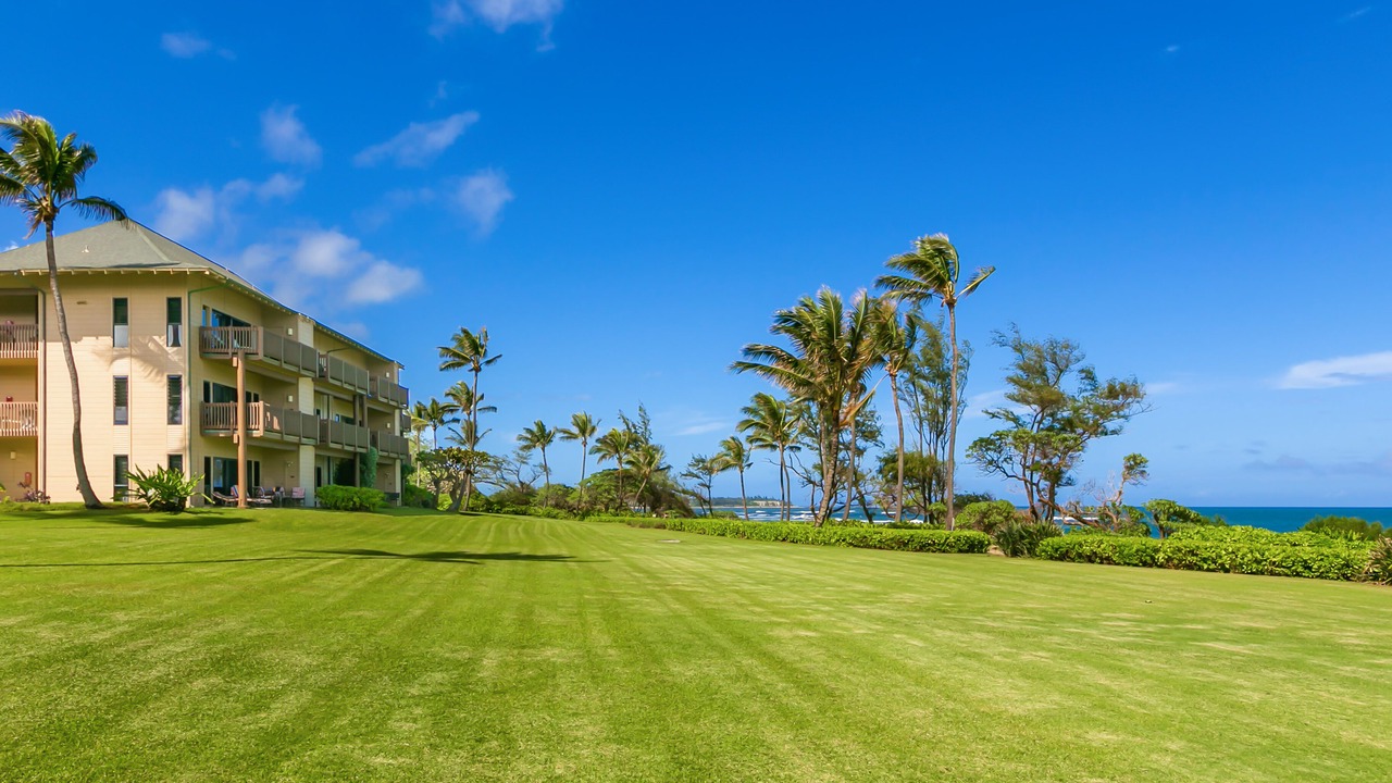 Photo of Outdoor in Lihue