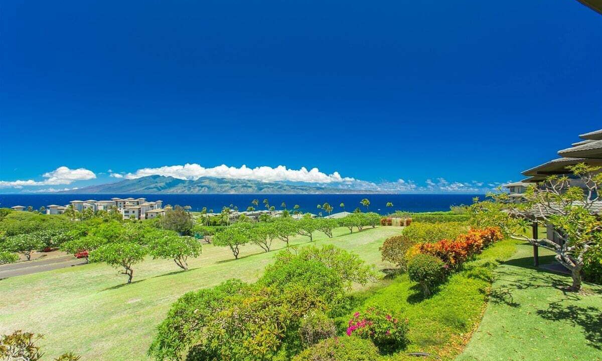 Photo of Others in Napili