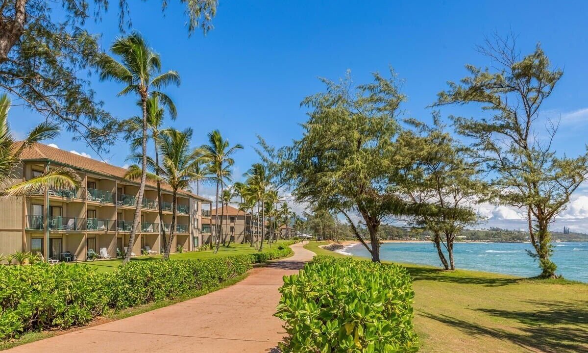 Photo of Outdoor in Kapaa