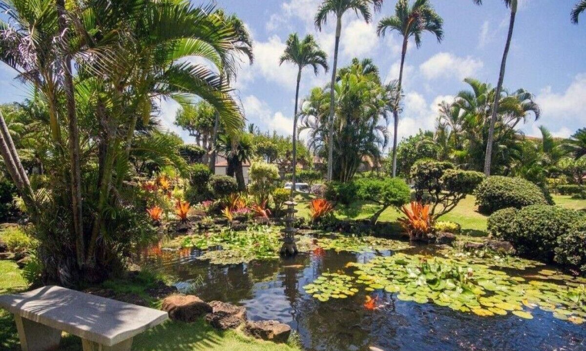 Photo of Outdoor in Kapaa