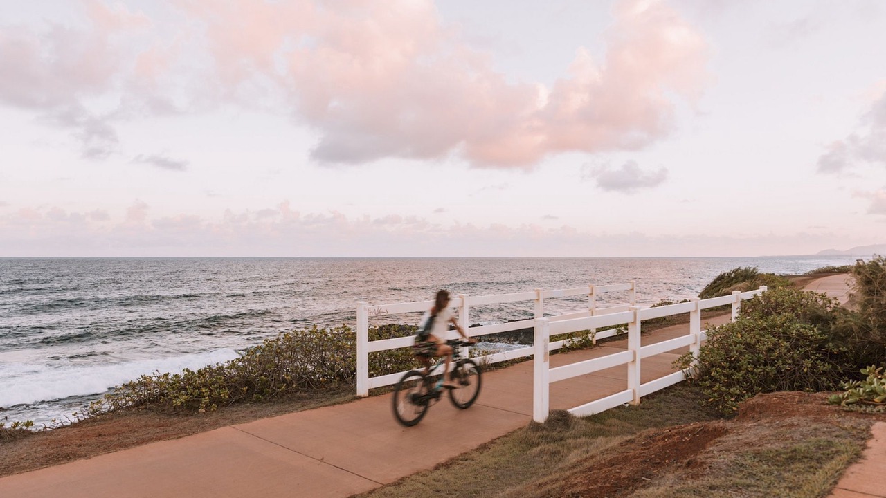 Photo of Others in Wailua