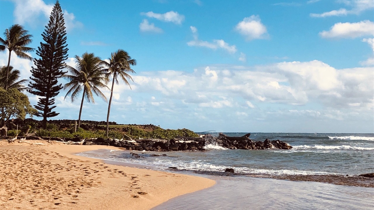 Photo of Others in Wailua
