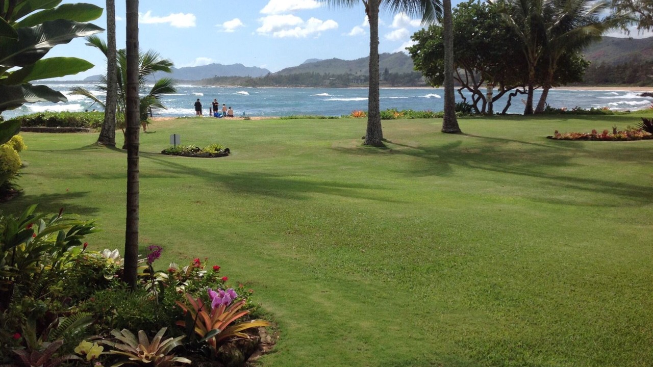Photo of Others in Wailua