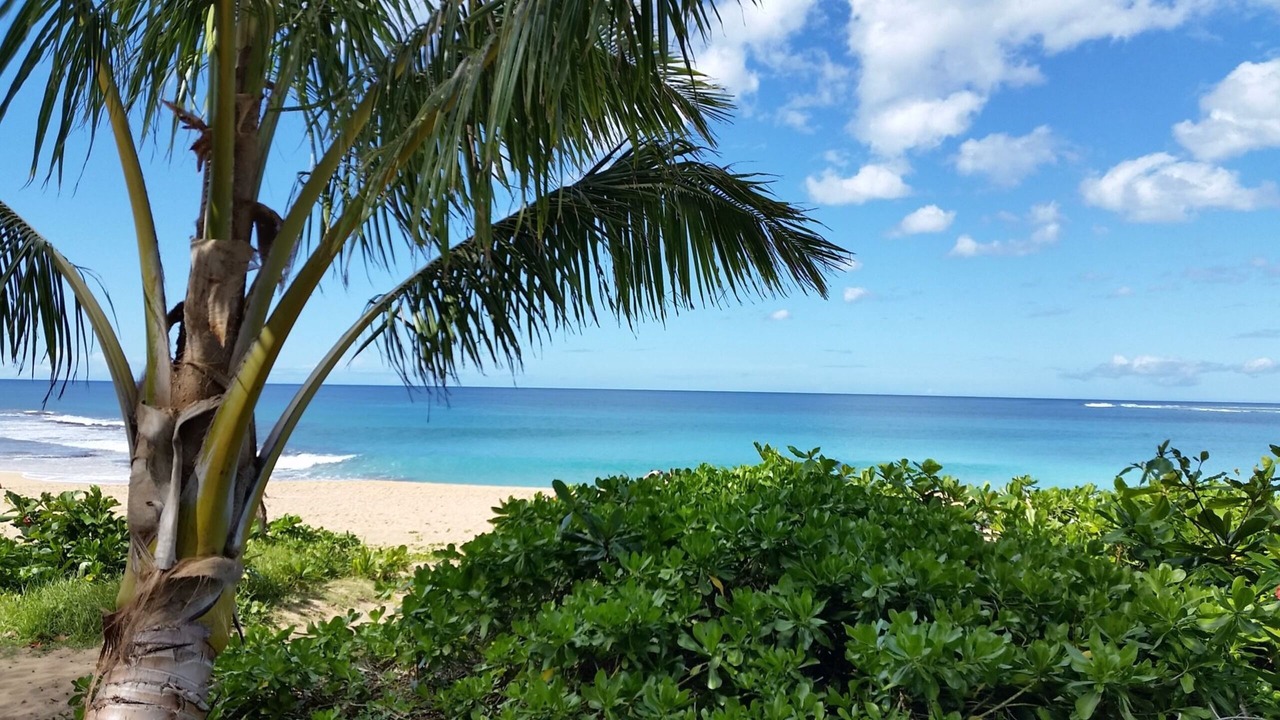 Photo of Others in Wailua