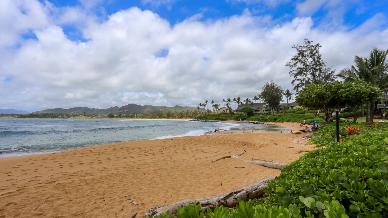 Photo of Others in Wailua