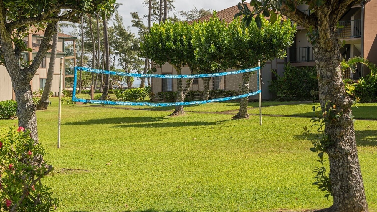 Photo of Others in Kapaa