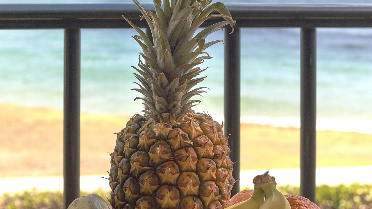 Photo of Others in Kapaa