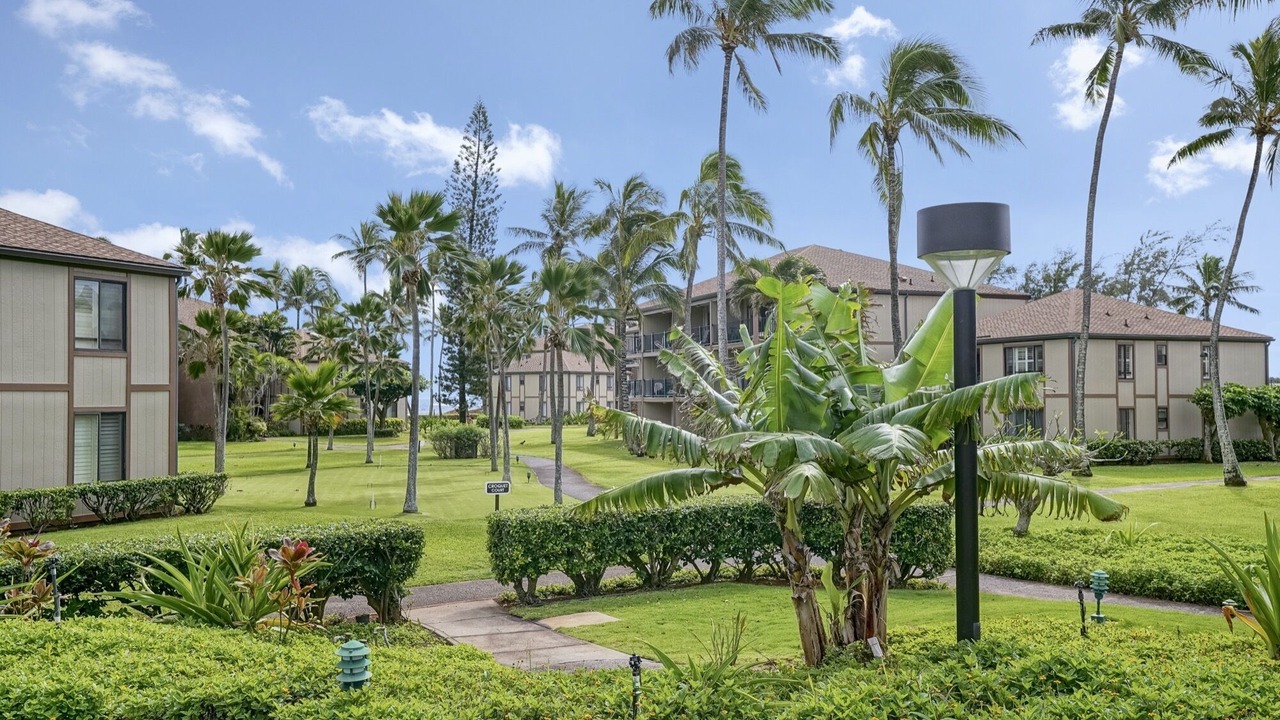 Photo of Others in Kapaa