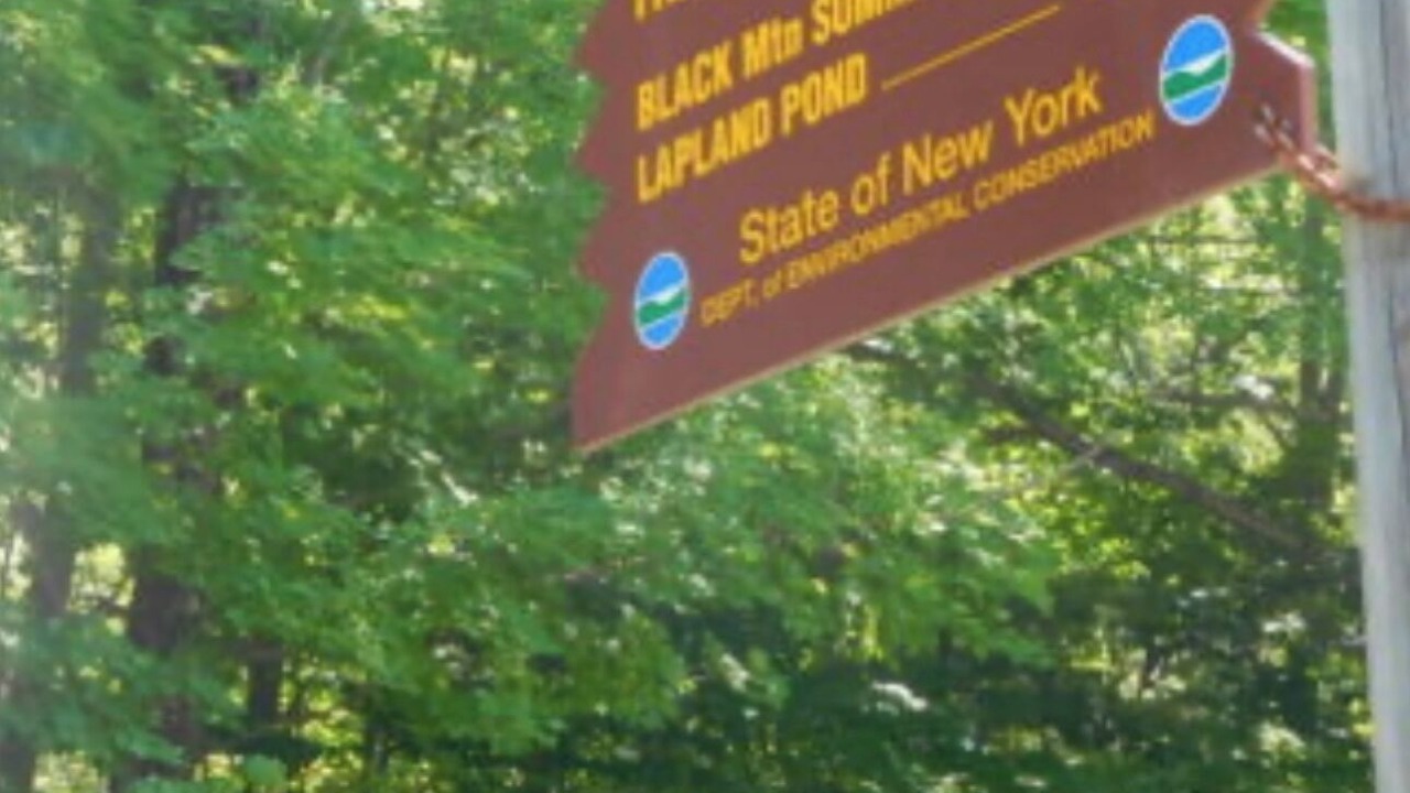 Photo of Outdoor in Clemons