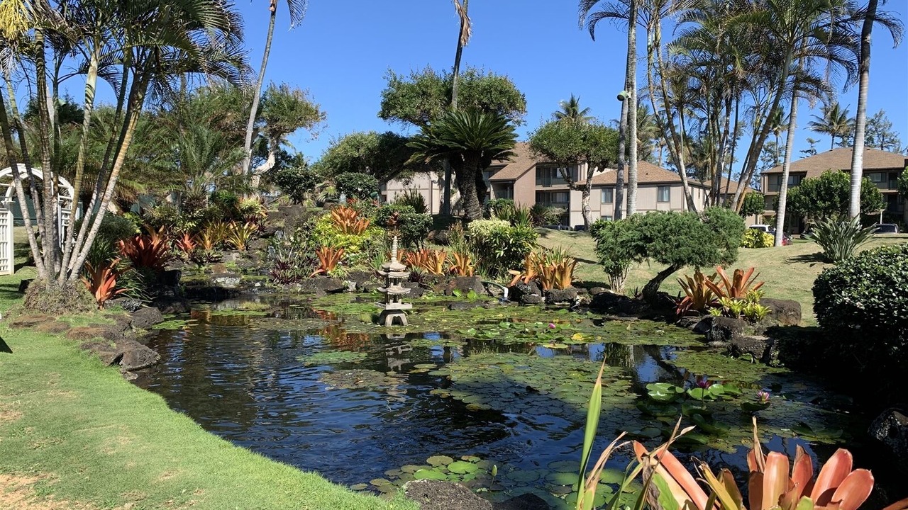 Photo of Outdoor in Kapaa