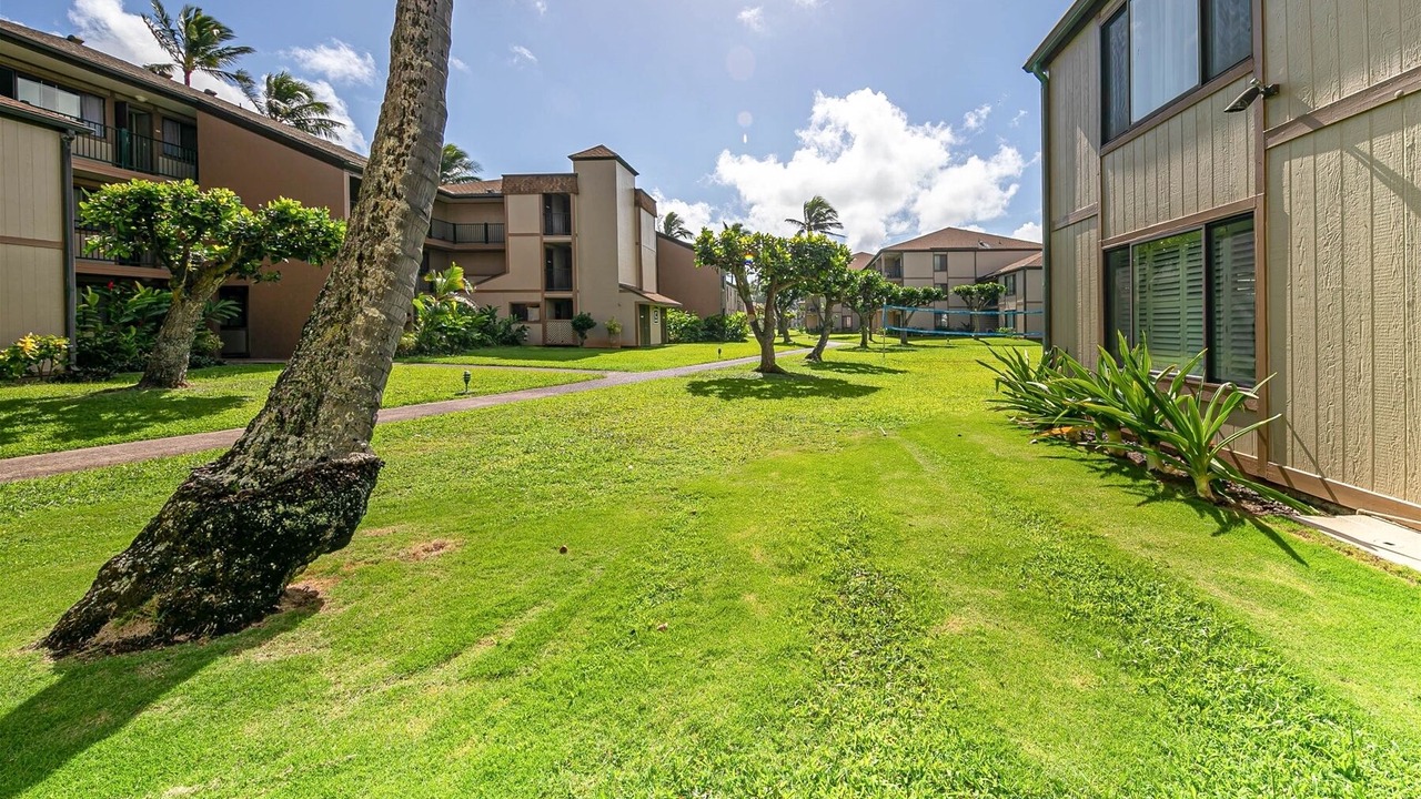 Photo of Outdoor in Kapaa