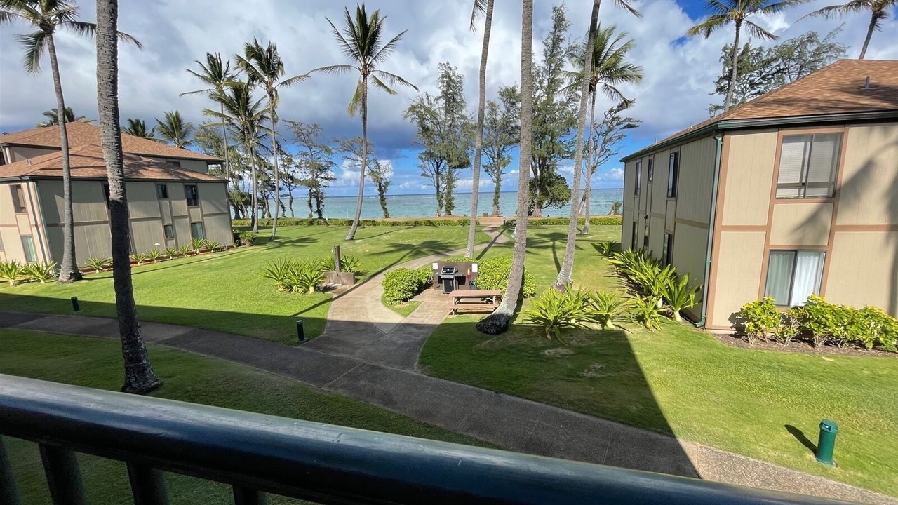Photo of Outdoor in Kapaa