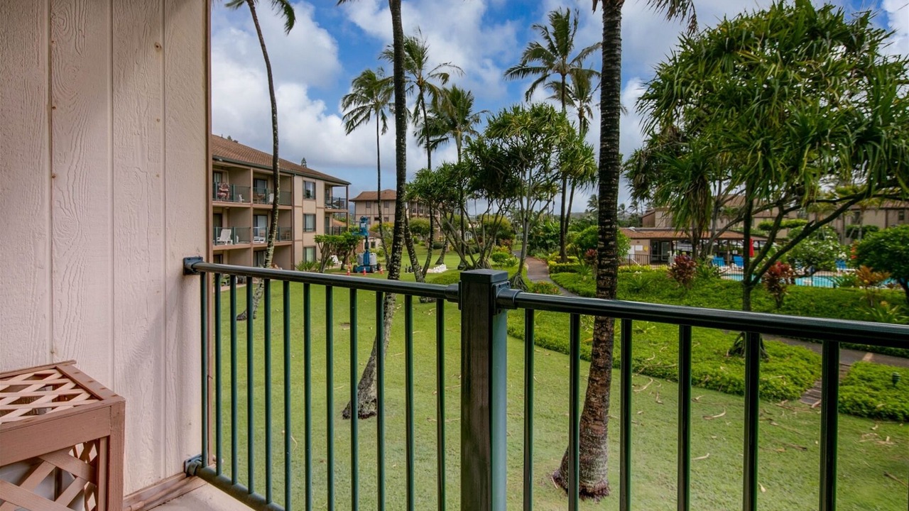 Photo of Others in Kapaa