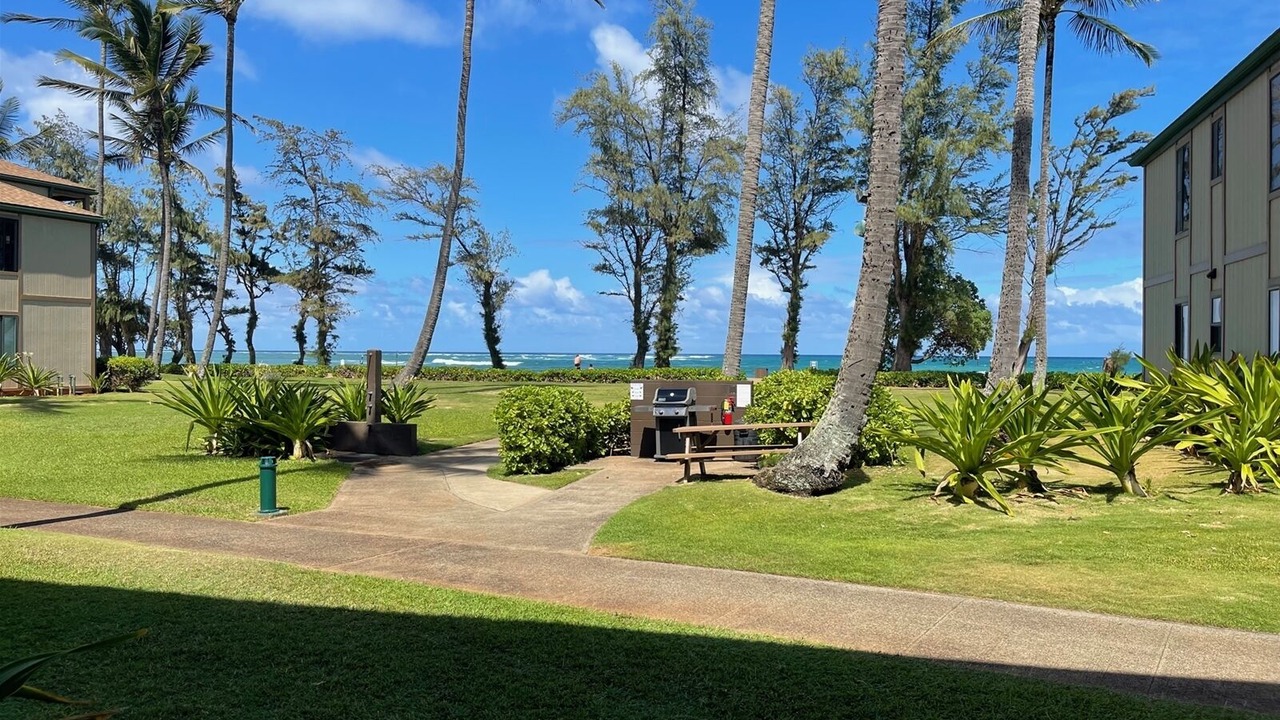Photo of Outdoor in Kapaa
