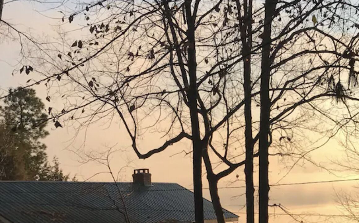 Photo of Outdoor in Milledgeville