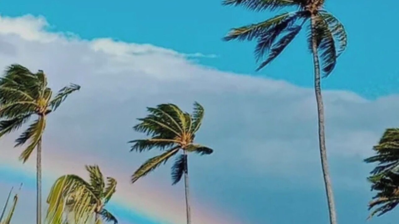 Photo of Others in Kaanapali
