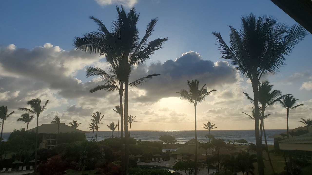 Photo of Outdoor in Hanamaulu