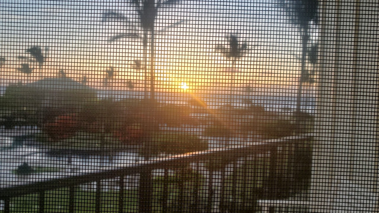 Photo of Outdoor in Hanamaulu