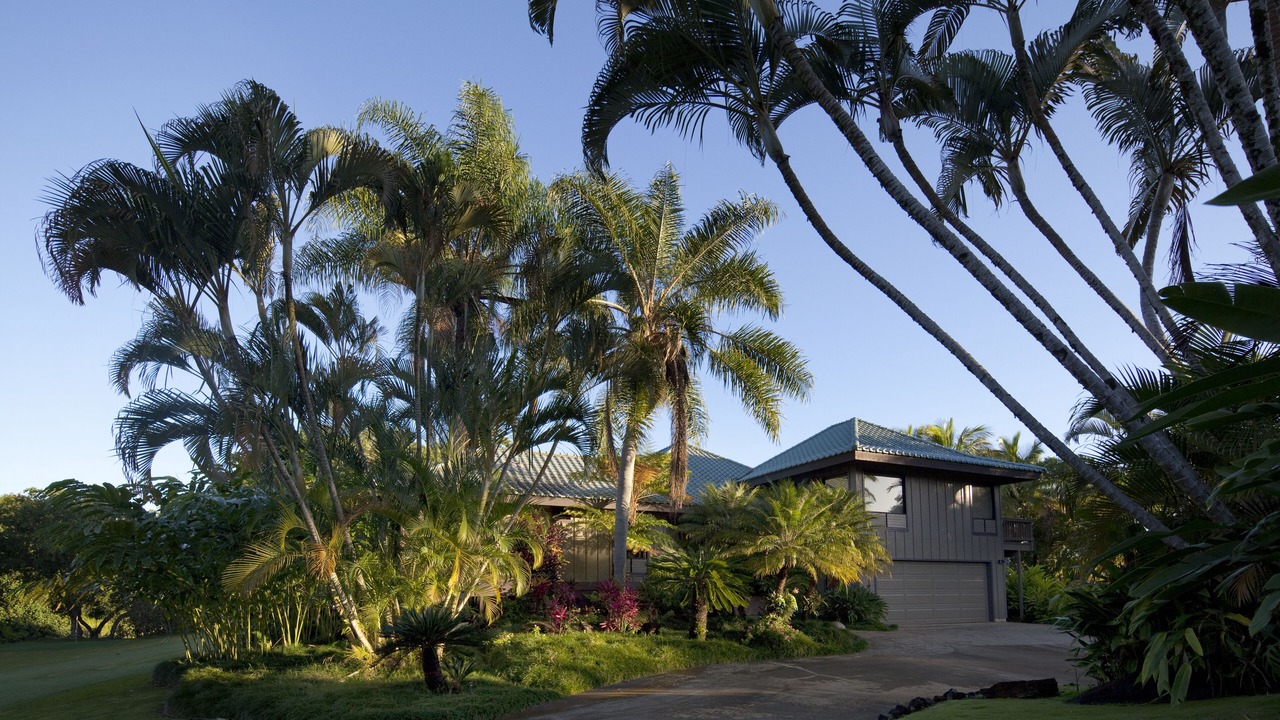 Photo of Outdoor in Kilauea