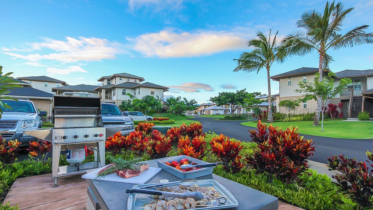 Photo of Outdoor in Poipu