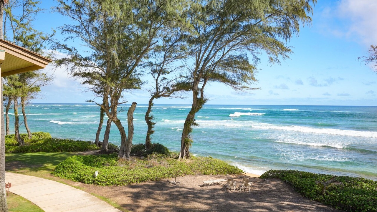 Photo of Others in Wailua