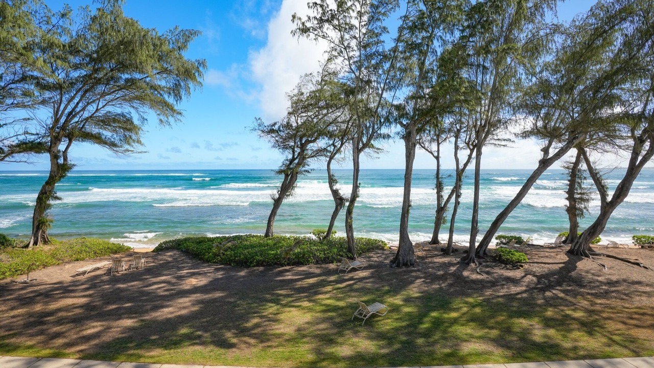 Photo of Others in Wailua