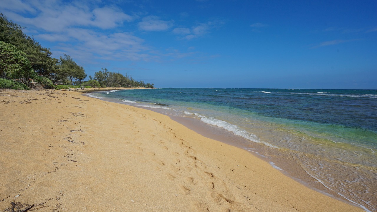 Photo of Others in Wailua