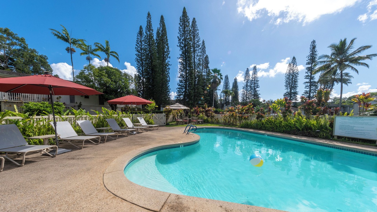 Photo of Outdoor in Princeville