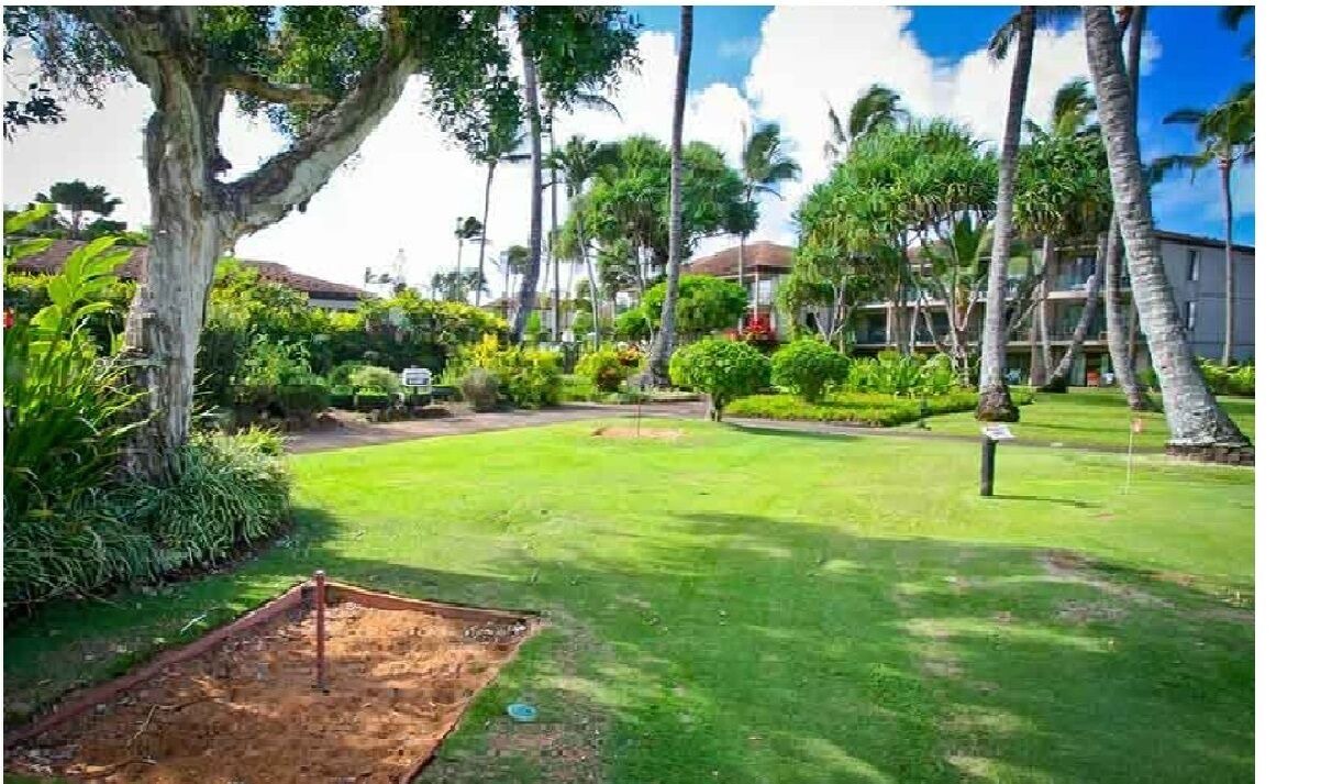 Photo of Outdoor in Kapaa