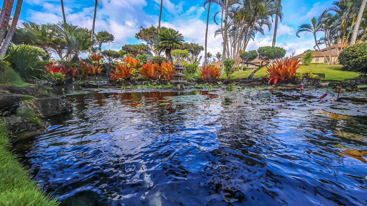 Photo of Outdoor in Kapaa