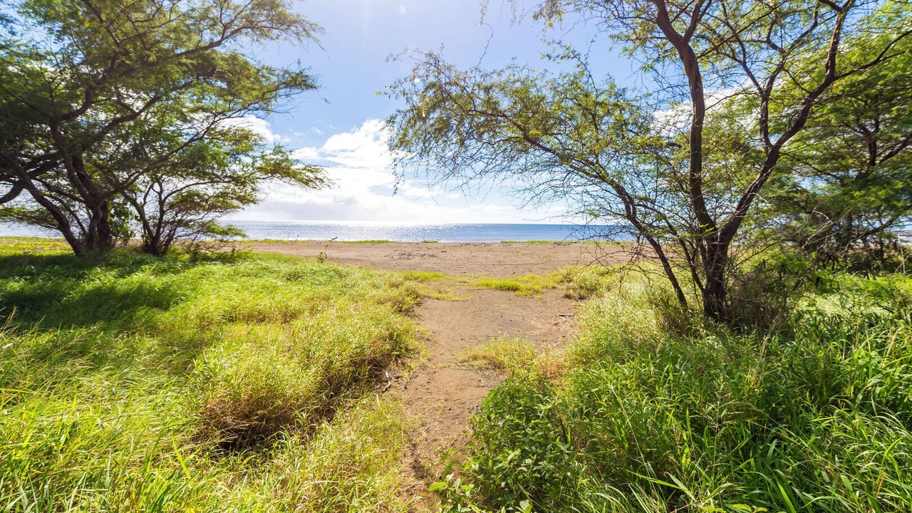 Photo of Others in Waimea