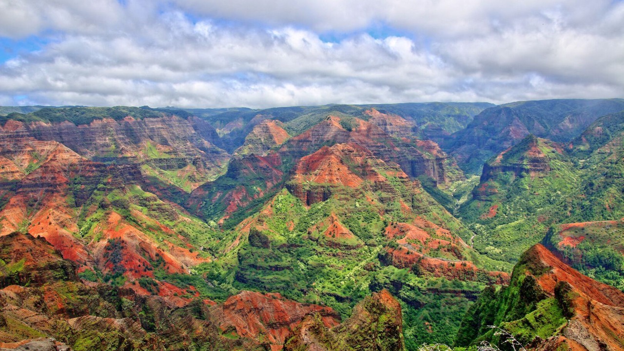 Photo of Outdoor in Waimea
