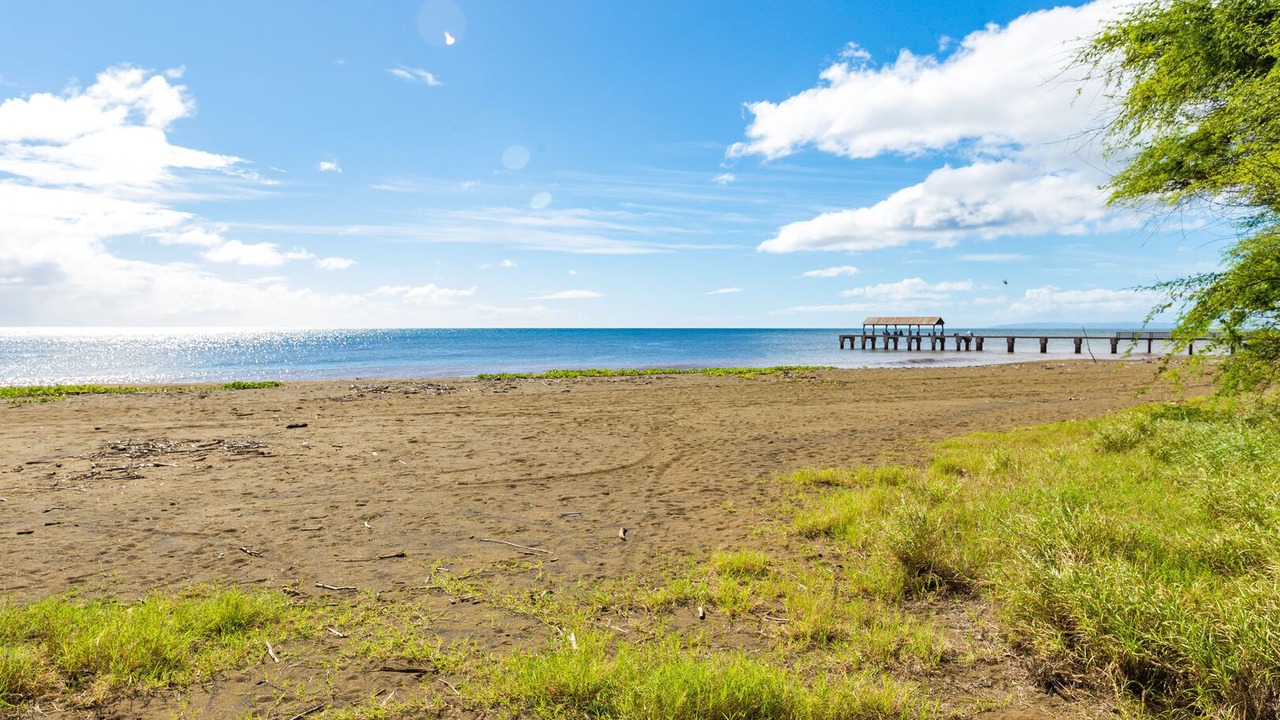 Photo of Others in Waimea