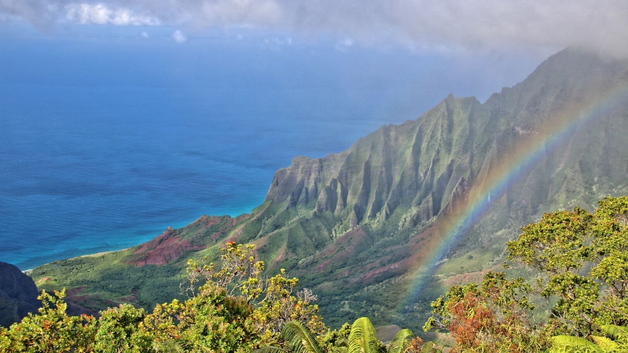 Photo of Others in Waimea