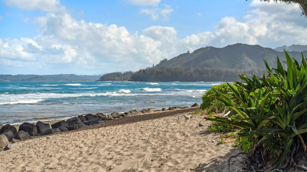 Photo of Others in Wainiha
