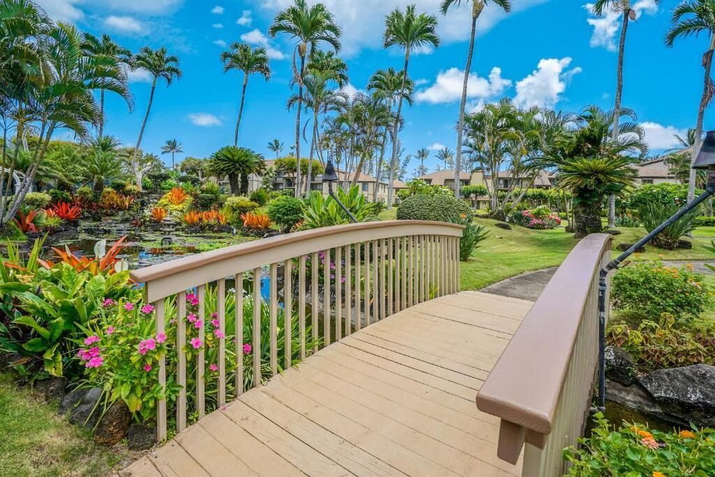 Photo of Outdoor in Kapaa