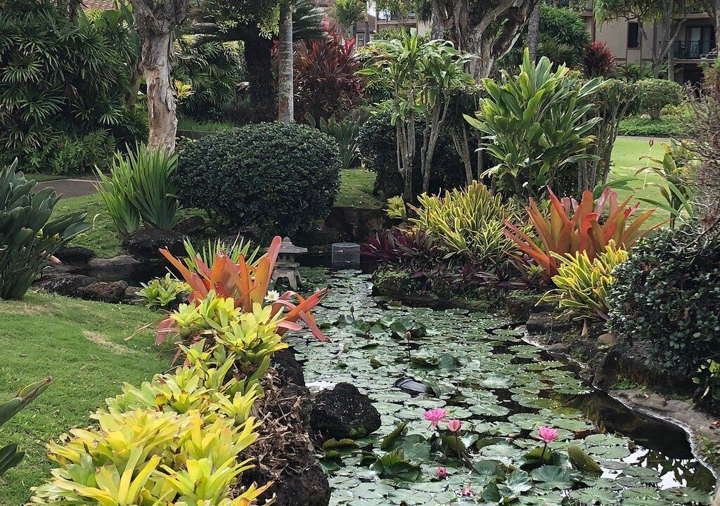 Photo of Outdoor in Kapaa