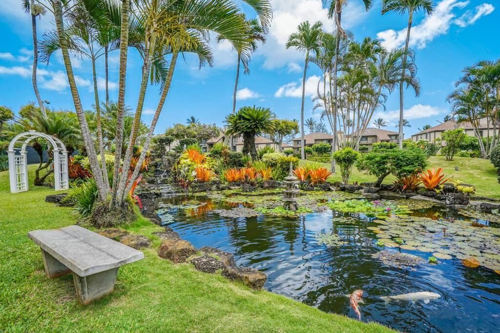 Photo of Outdoor in Kapaa