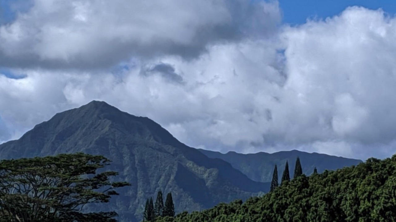 Photo of Others in Princeville