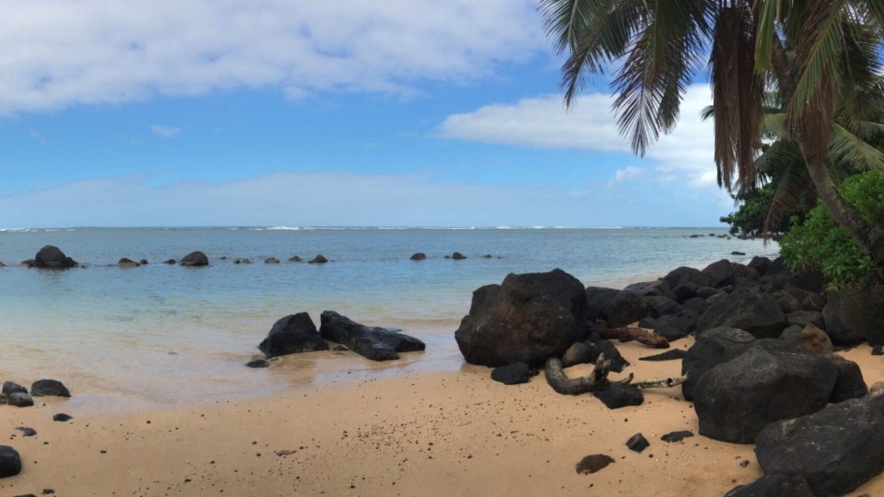Photo of Others in Princeville