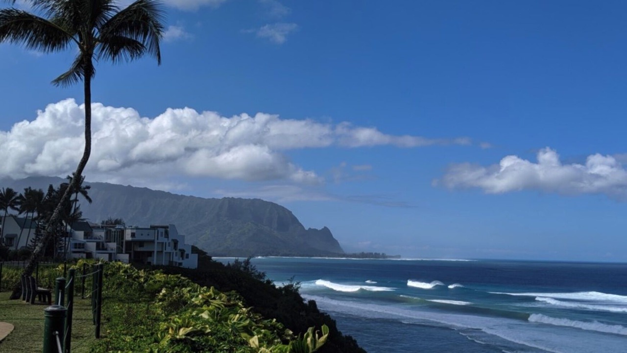 Photo of Others in Princeville