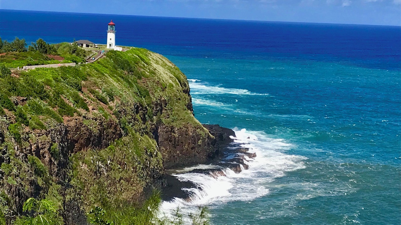 Photo of Others in Kapaa