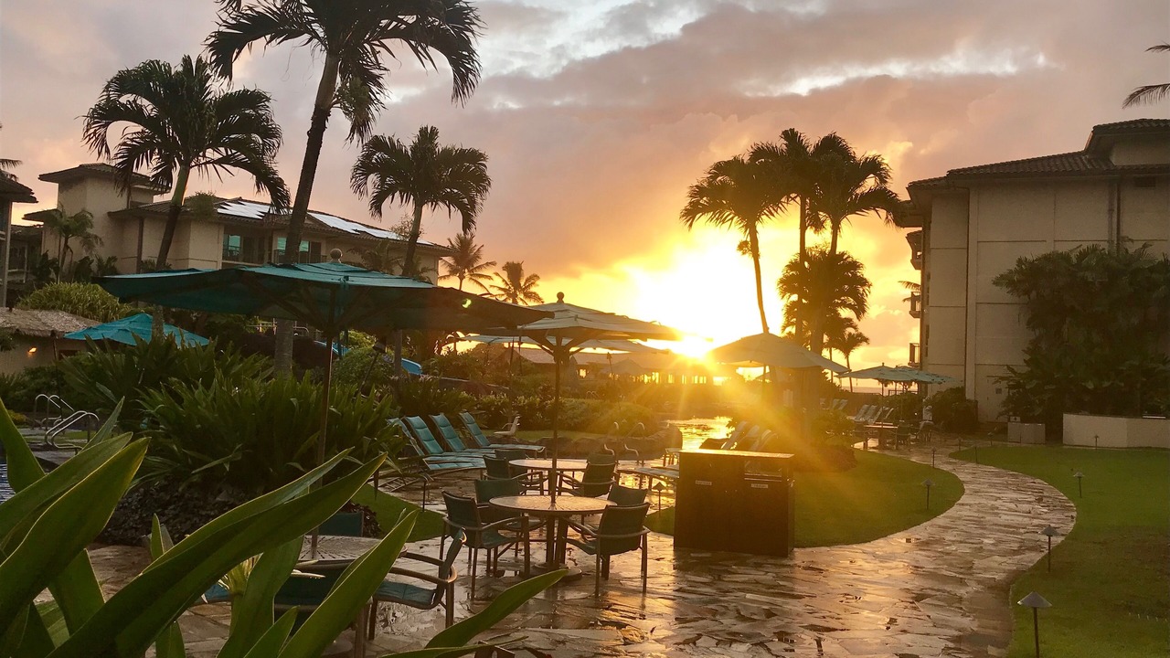 Photo of Outdoor in Kapaa