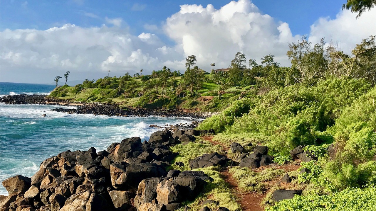 Photo of Others in Kapaa