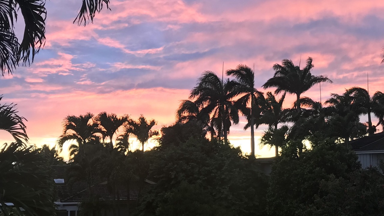 Photo of Others in Poipu