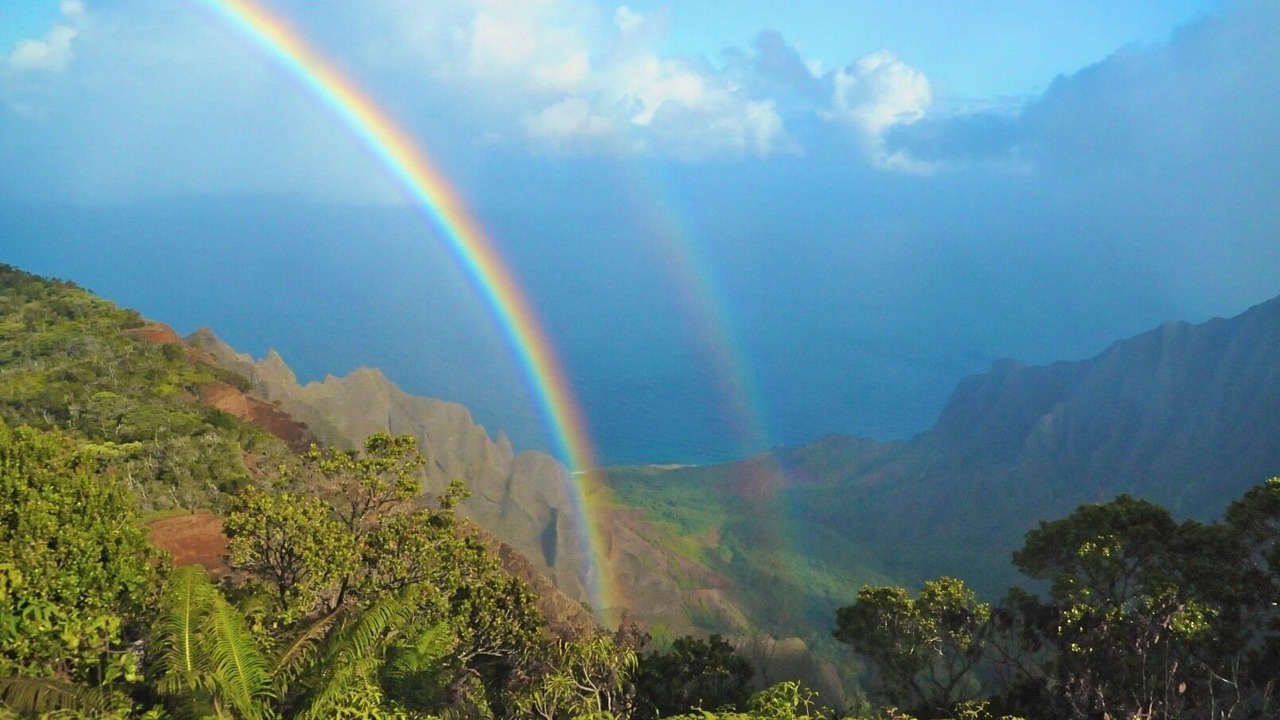 Photo of Others in Wailua