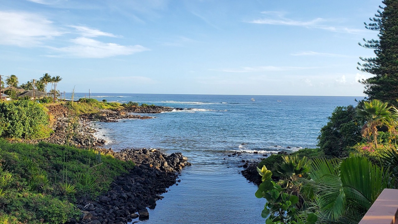 Photo of Others in Poipu