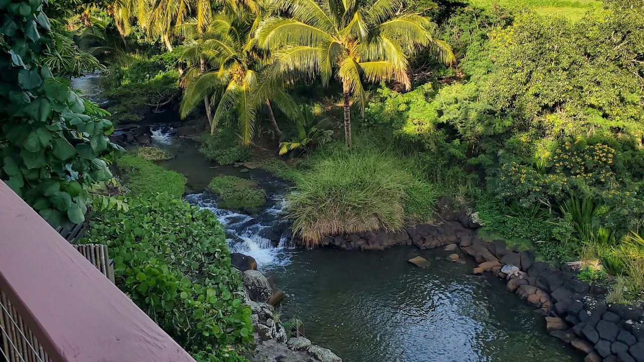 Photo of Others in Poipu