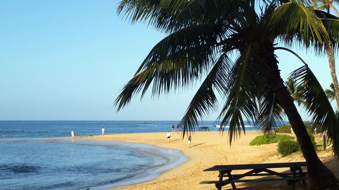 Photo of Others in Poipu